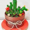 Cactus Dessert Paint By Numbers