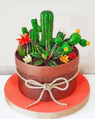 Cactus Dessert Paint By Numbers