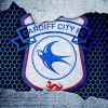 Cardiff City Football Logo Paint By Numbers