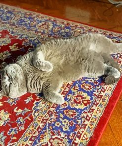 Cat With Oriental Rug Paint By Numbers