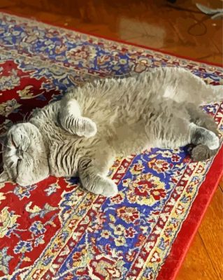 Cat With Oriental Rug Paint By Numbers