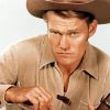 Chuck Connors Actor Paint By Numbers