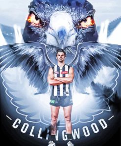 Collingwood Art Paint By Numbers