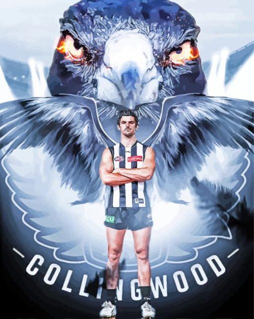 Collingwood Art Paint By Numbers