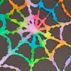 Colorful Spiderweb Paint By Numbers