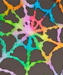 Colorful Spiderweb Paint By Numbers