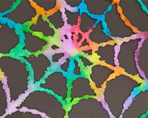 Colorful Spiderweb Paint By Numbers