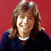 David Cassidy Paint By Numbers