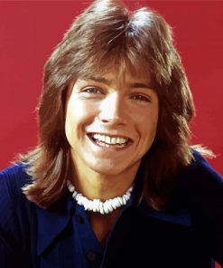 David Cassidy Paint By Numbers