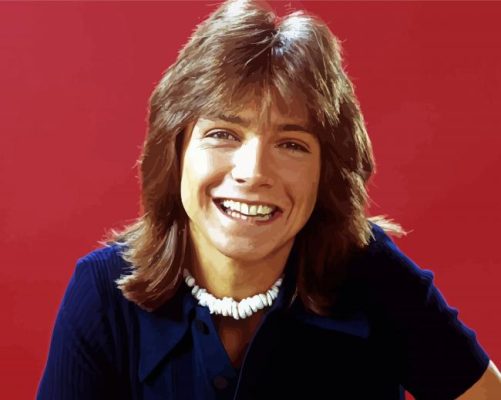 David Cassidy Paint By Numbers