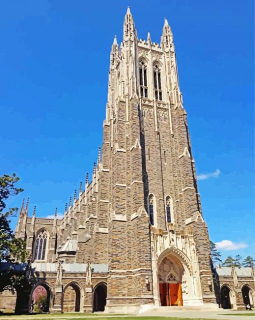 Duke University Paint By Numbers