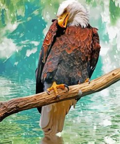 Eagle On A Branch Under Rain Paint By Numbers