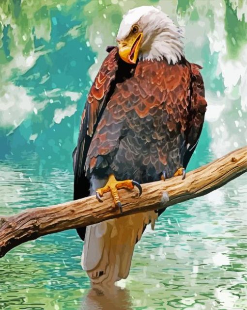 Eagle On A Branch Under Rain Paint By Numbers