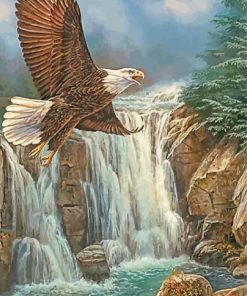 Eagle Over Waterfall Paint By Numbers