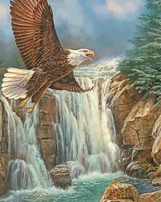 Eagle Over Waterfall Paint By Numbers