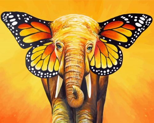 Elephant Butterfly Paint By Numbers