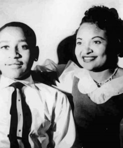 Emmett Till Paint By Numbers