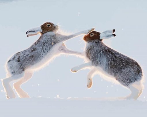 Fighting Hares In Snow Paint By Numbers