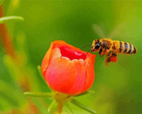 Flowers And Bees Paint By Numbers