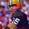 Football Coach Bart Starr Paint By Numbers