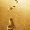 Footprints In The Sand Paint By Numbers