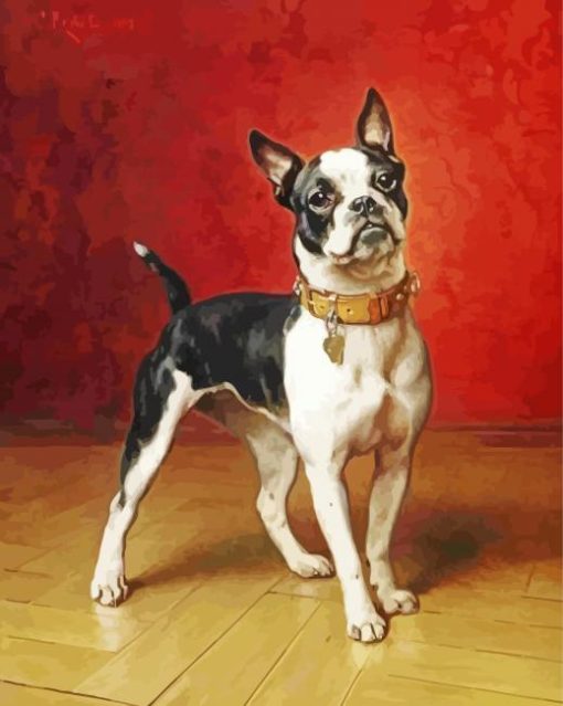French Bulldog With Collar Art Paint By Numbers