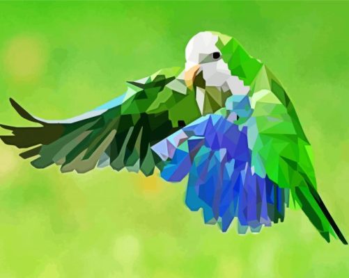 Geometric Quaker Parrot Paint By Numbers