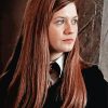 Ginny Weasley Paint By Numbers
