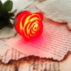 Glowing Roses With Book Papers Paint By Numbers