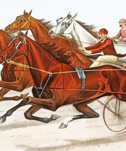 Harness Horse Race Art Paint By Numbers