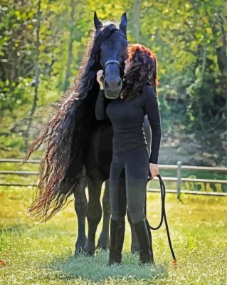 Horse With Human Paint By Numbers