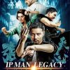 Ip Man Legacy Poster Paint By Numbers