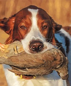Irish Red White Setter Hunter Paint By Numbers