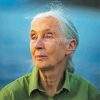 Jane Goodall Paint By Numbers