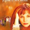 Joan Of Arcadia Poster Paint By Numbers