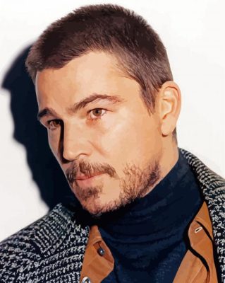 Josh Hartnett American Actor Paint By Numbers