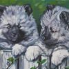 Keeshond Dogs Paint By Numbers