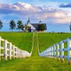 Kentucky Farm Landscape Paint By Numbers