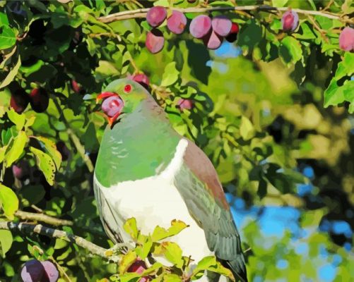 Kereru Binging On Plums Paint By Numbers