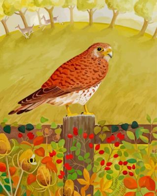 Kestrel Art Paint By Numbers