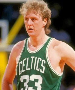 Larry Bird Player Paint By Numbers