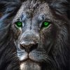 Lion Green Eyes Paint By Numbers