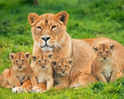 Lioness And Cubs Animals Paint By Numbers