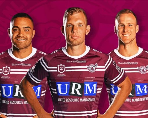 Manly NRL Paint By Numbers