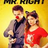 Mr Right Poster Paint By Numbers