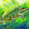Northern Fish Art Paint By Numbers