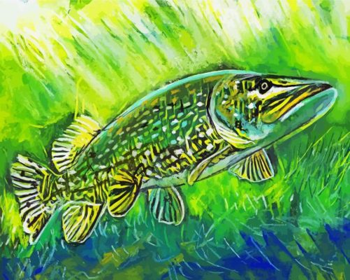 Northern Fish Art Paint By Numbers