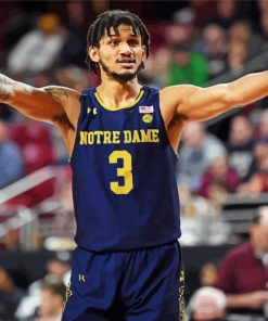 Notre Dame Basketball Paint By Numbers