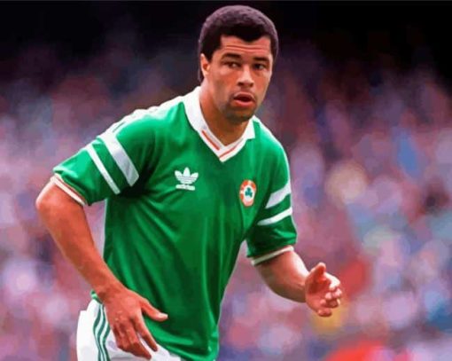 Paul Mcgrath Paint By Numbers