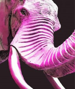Pink Elephant Head Paint By Numbers